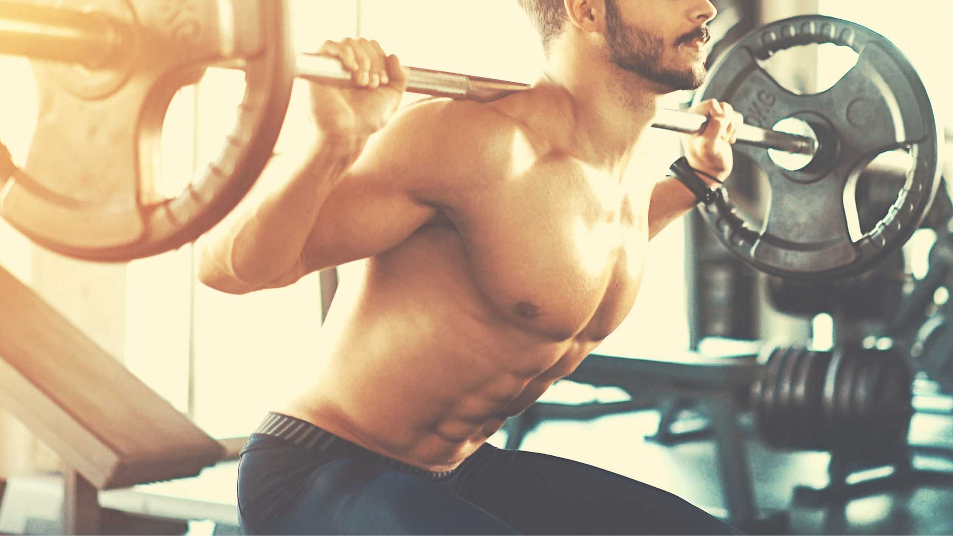 How To Low Bar Squat Your Guide to the Proper Form Barbell Academy